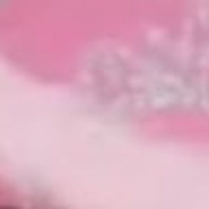 Meet your Posher, Rachelle